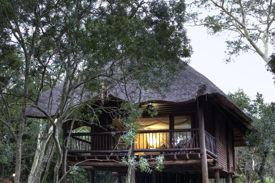  Zululand Ubizane Wildlife Reserve