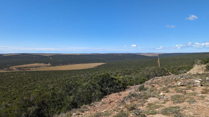  Zuurkop Lookout