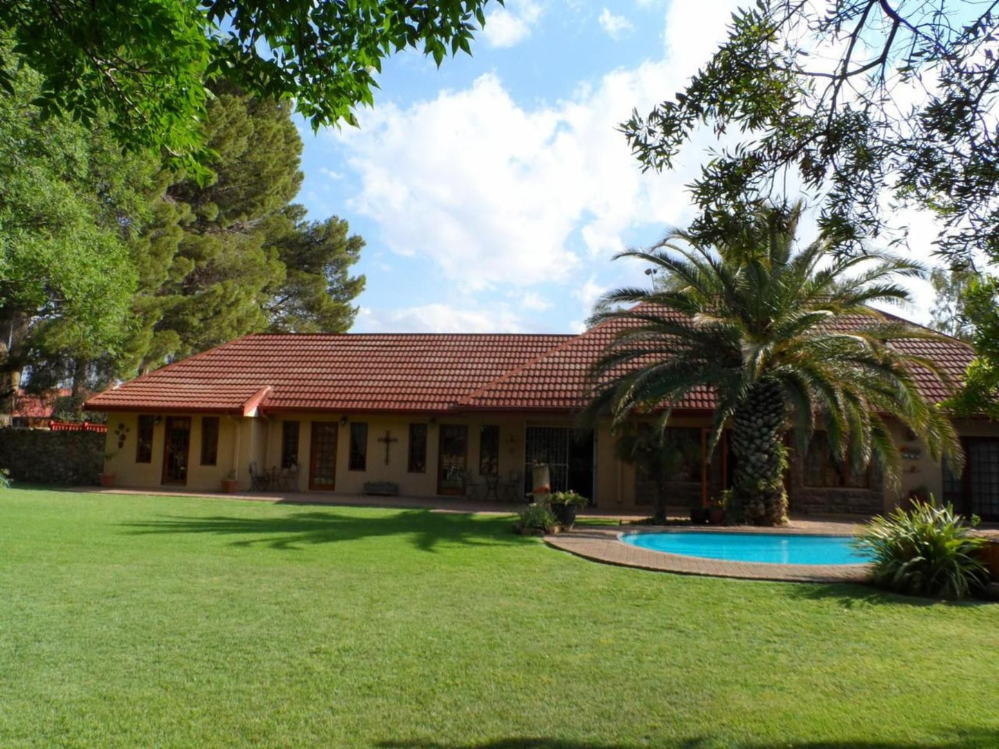 A Cherry Lane Self Catering And Bandb Ferreira Bloemfontein Free State South Africa Palm Tree, Plant, Nature, Wood, Swimming Pool