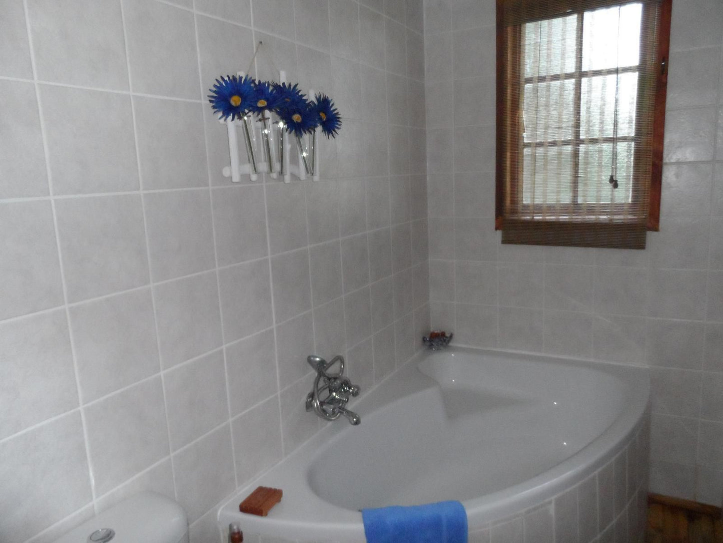 A Cherry Lane Self Catering And Bandb Ferreira Bloemfontein Free State South Africa Unsaturated, Bathroom