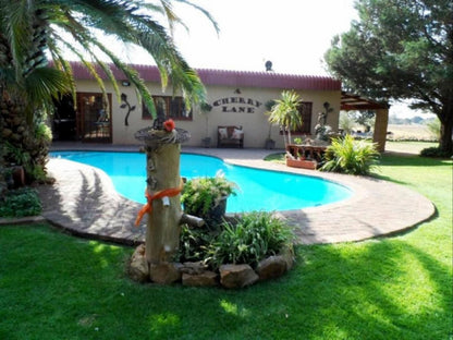 A Cherry Lane Self Catering And Bandb Ferreira Bloemfontein Free State South Africa House, Building, Architecture, Palm Tree, Plant, Nature, Wood, Garden, Swimming Pool