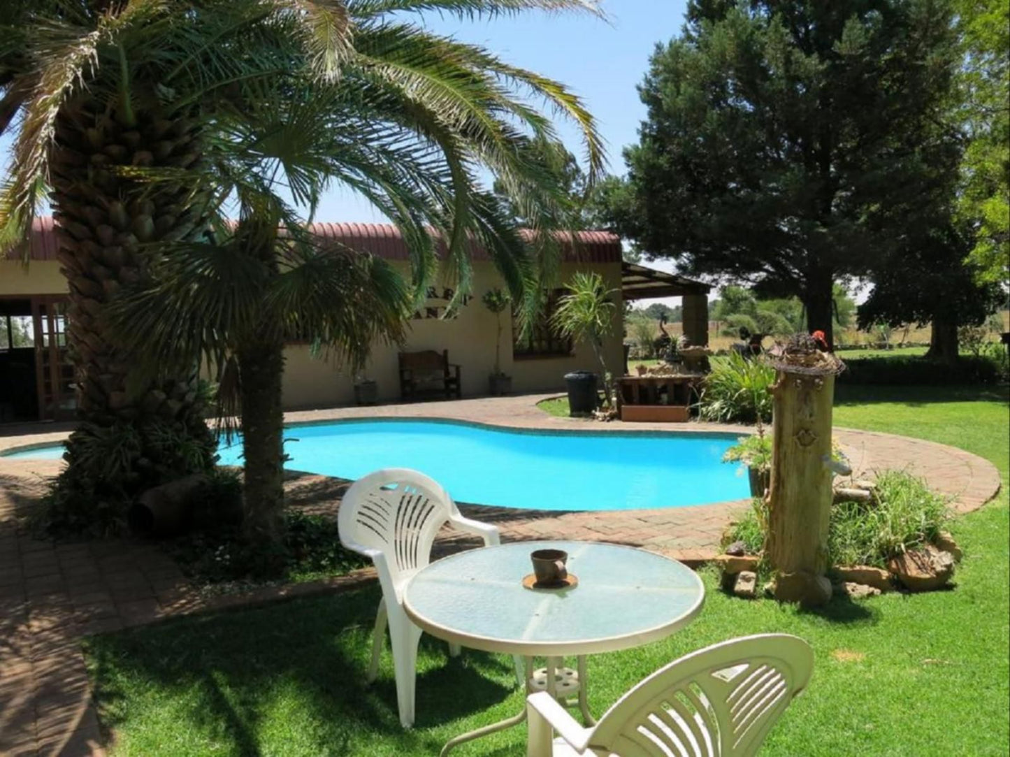 A Cherry Lane Self Catering And Bandb Ferreira Bloemfontein Free State South Africa Palm Tree, Plant, Nature, Wood, Garden, Swimming Pool