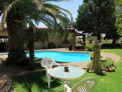 A Cherry Lane Self Catering And Bandb Ferreira Bloemfontein Free State South Africa Palm Tree, Plant, Nature, Wood, Garden, Swimming Pool