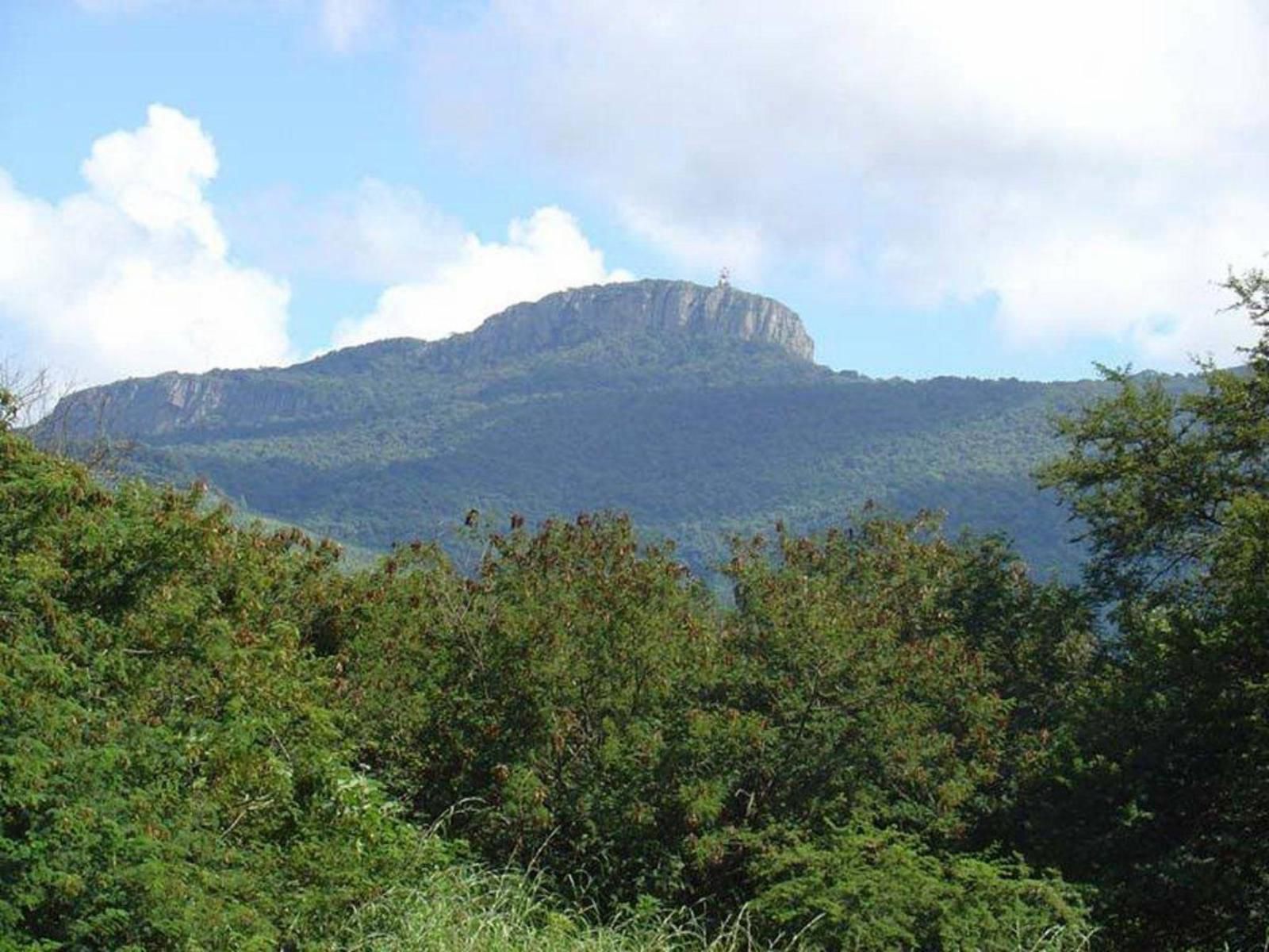 A Cody Place Makhado Louis Trichardt Limpopo Province South Africa Complementary Colors, Forest, Nature, Plant, Tree, Wood, Mountain, Highland