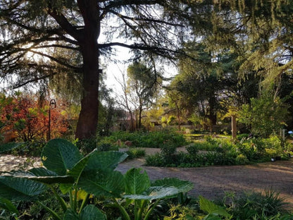 A Country Garden Guesthouse, Plant, Nature, Garden