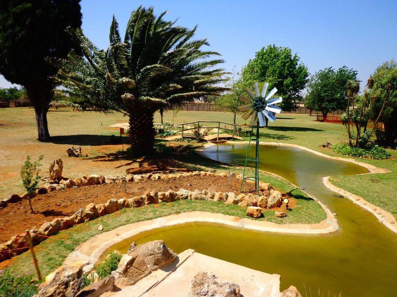 Ajm Accommodation Delmas West Delmas Mpumalanga South Africa Palm Tree, Plant, Nature, Wood, Garden, Swimming Pool