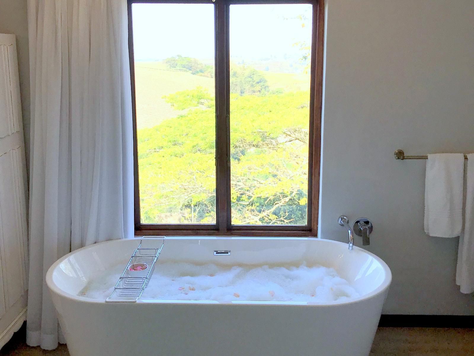 A Kings View Boutique Guesthouse Eshowe Kwazulu Natal South Africa Bathroom, Swimming Pool