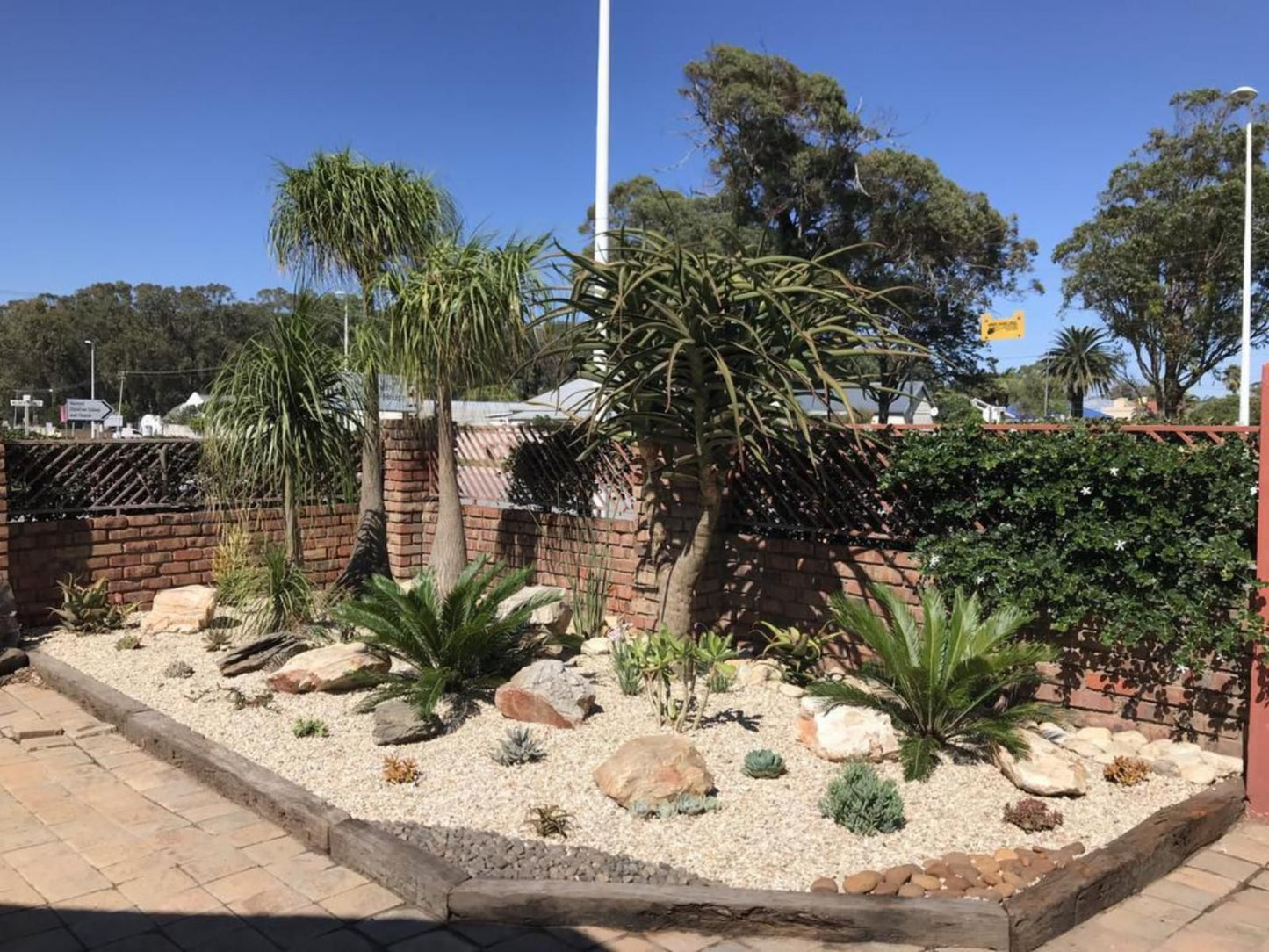 A La Martha'S Air-Port Guest House, Palm Tree, Plant, Nature, Wood, Garden