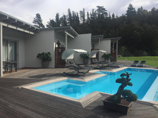 A Riverbed Guesthouse Swellendam Western Cape South Africa House, Building, Architecture, Swimming Pool