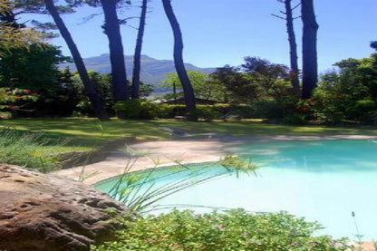 A Squirrels Nest Hout Bay Cape Town Western Cape South Africa Complementary Colors, Garden, Nature, Plant, Swimming Pool