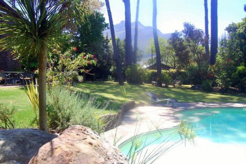 A Squirrels Nest Hout Bay Cape Town Western Cape South Africa Complementary Colors, Palm Tree, Plant, Nature, Wood, Garden, Swimming Pool