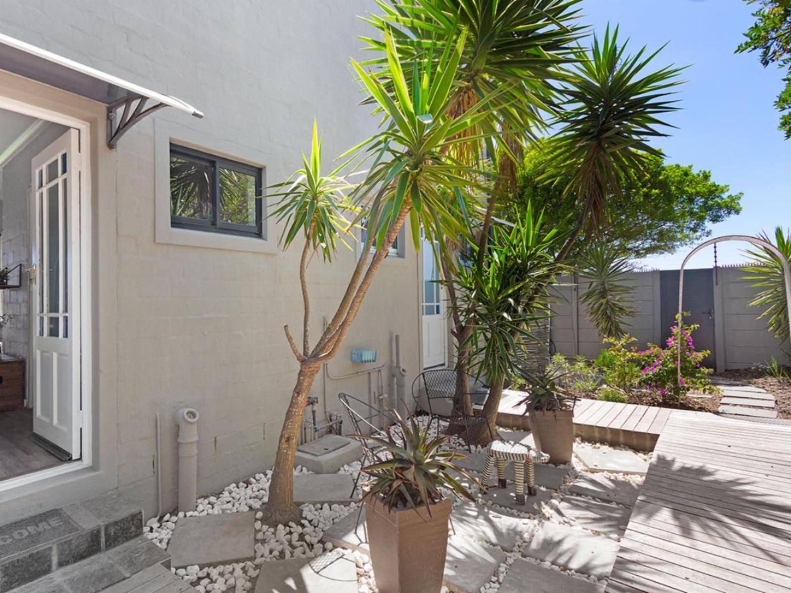 A Studio Apartment In Bloubergsands Blouberg Sands Blouberg Western Cape South Africa Palm Tree, Plant, Nature, Wood, Garden