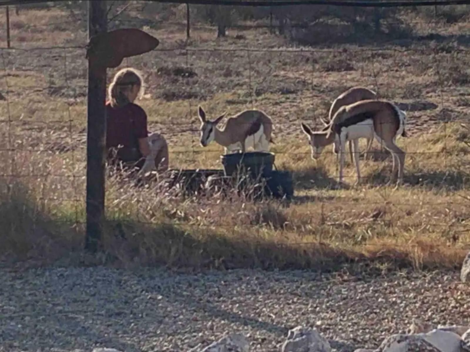 A Touch Of Bushveld By The Sea, Animal, Person