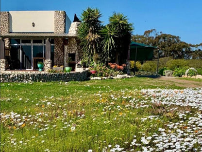 A Touch Of Bushveld By The Sea, House, Building, Architecture, Plant, Nature, Garden