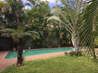 A Traveller'S Palm, Palm Tree, Plant, Nature, Wood, Garden, Swimming Pool