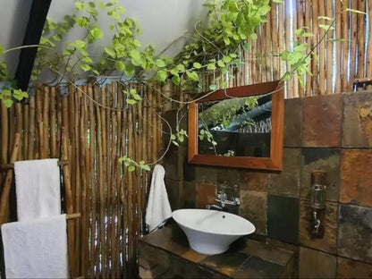 A Traveller'S Palm, Bathroom