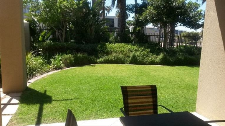 A102 Waterstone West Century City Cape Town Western Cape South Africa Palm Tree, Plant, Nature, Wood, Garden, Swimming Pool