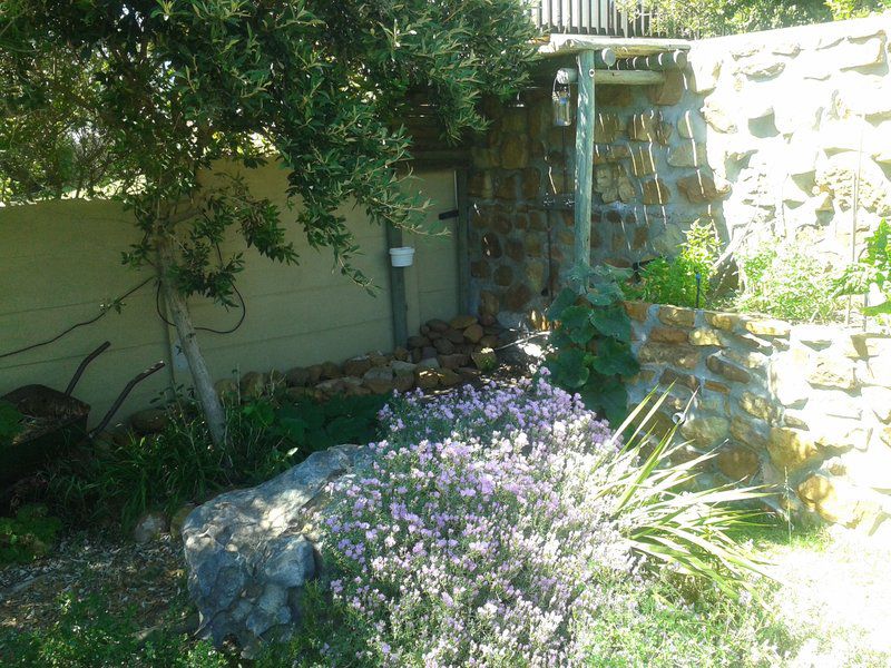 A2 Oceanview Guest House Fish Hoek Cape Town Western Cape South Africa Plant, Nature, Garden