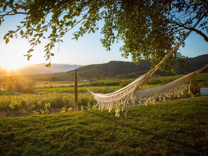 Aa Badenhorst Family Wines Malmesbury Western Cape South Africa Bridge, Architecture, Field, Nature, Agriculture