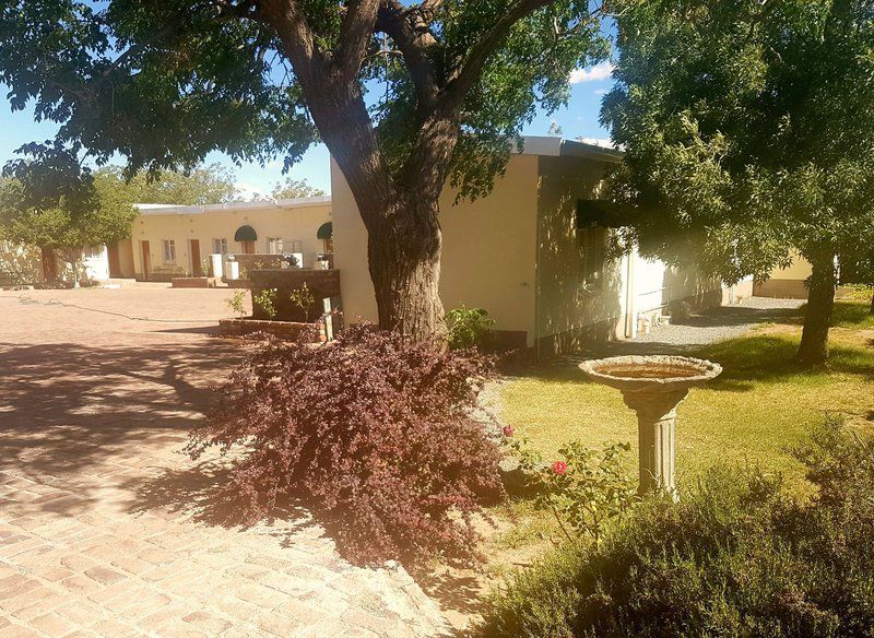 Aandrus Guesthouse Richmond Northern Cape Northern Cape South Africa House, Building, Architecture, Palm Tree, Plant, Nature, Wood