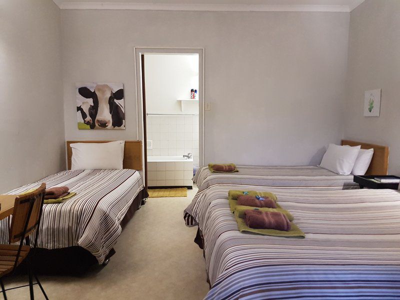 Aandrus Guesthouse Richmond Northern Cape Northern Cape South Africa Bedroom