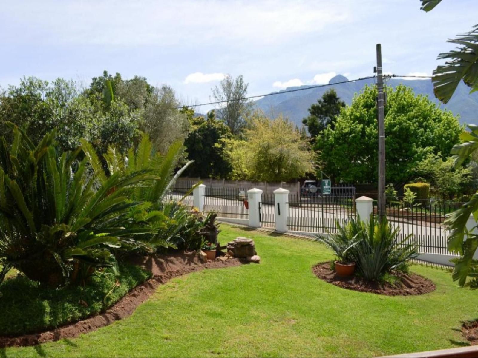 Aan De Bergen Swellendam Western Cape South Africa Palm Tree, Plant, Nature, Wood, Garden