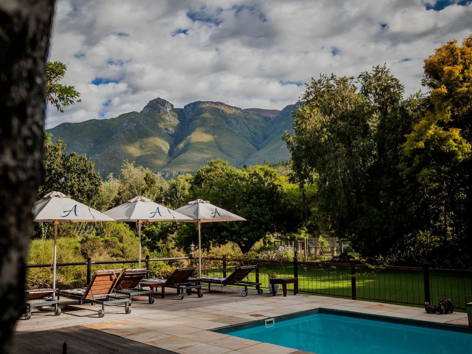 Aan De Oever Guesthouse Swellendam Western Cape South Africa Mountain, Nature, Swimming Pool