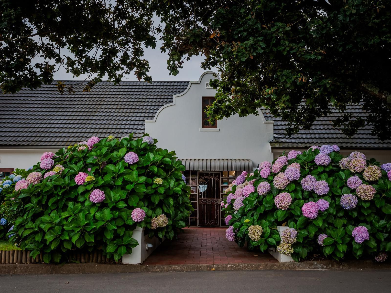 Aan De Oever Guesthouse Swellendam Western Cape South Africa House, Building, Architecture, Plant, Nature, Rose, Flower, Garden