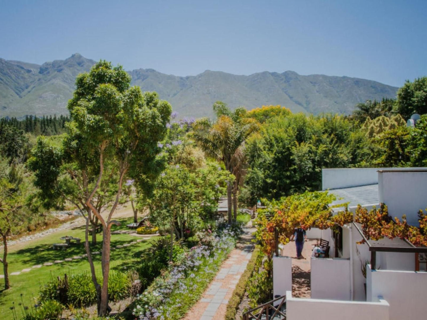 Aan De Oever Guesthouse Swellendam Western Cape South Africa House, Building, Architecture, Palm Tree, Plant, Nature, Wood, Garden