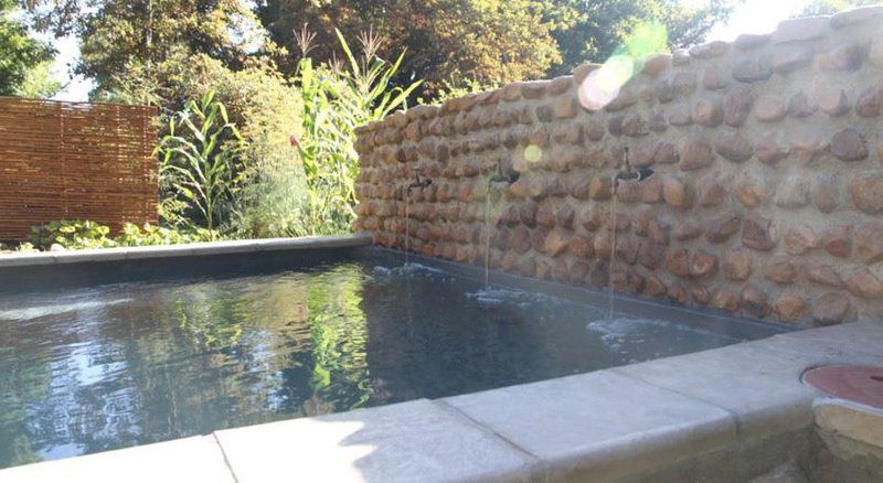 Aan De Vliet Guest House Stellenbosch Stellenbosch Western Cape South Africa Brick Texture, Texture, Garden, Nature, Plant, Swimming Pool