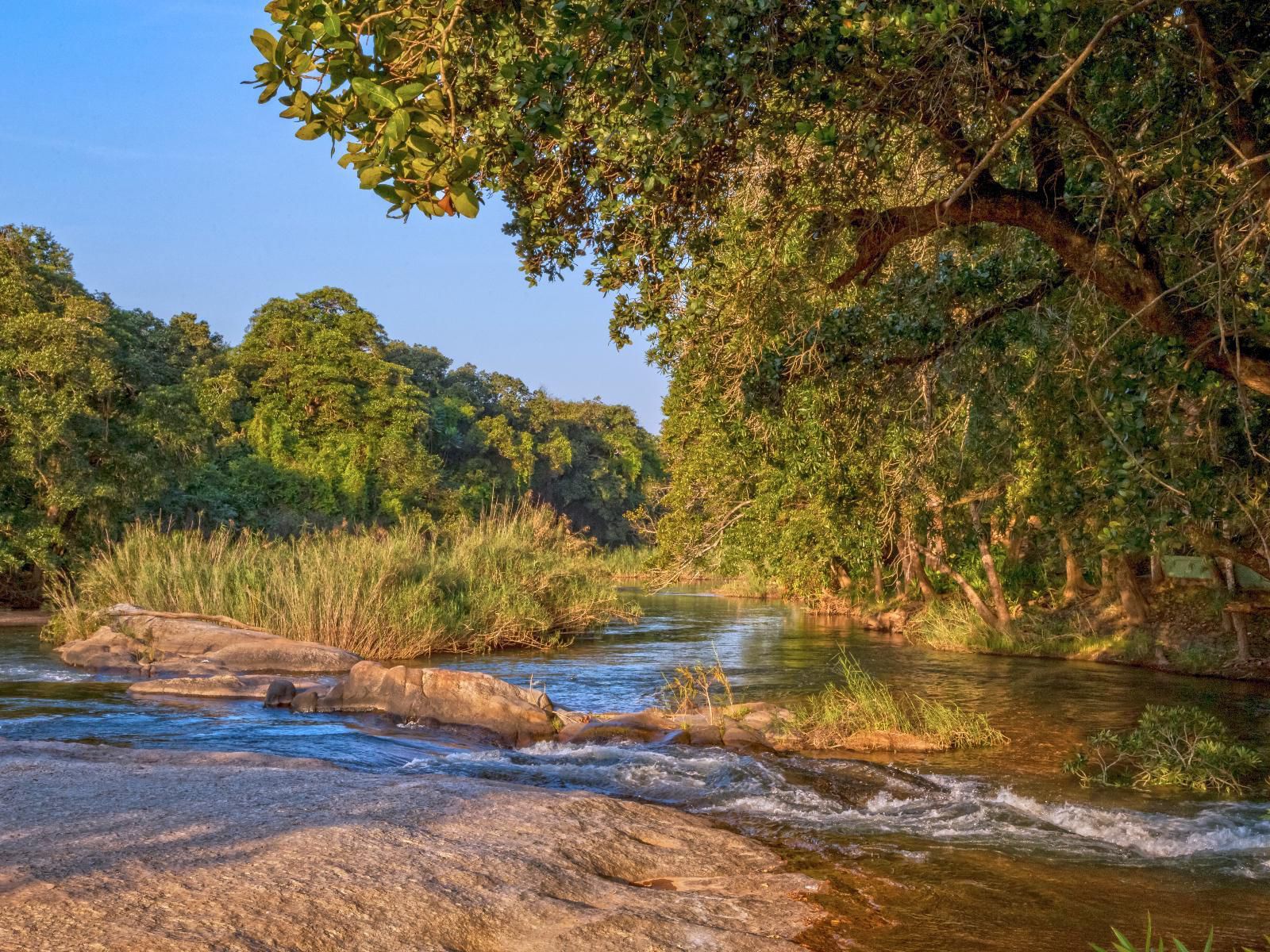 Aan De Vliet Holiday Resort Hazyview Mpumalanga South Africa River, Nature, Waters, Tree, Plant, Wood