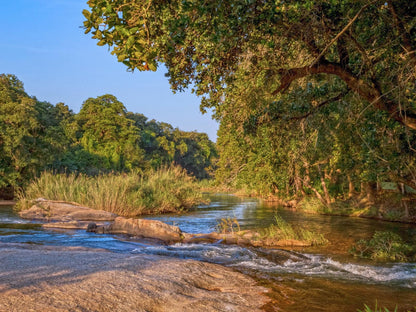 Aan De Vliet Holiday Resort Hazyview Mpumalanga South Africa River, Nature, Waters, Tree, Plant, Wood