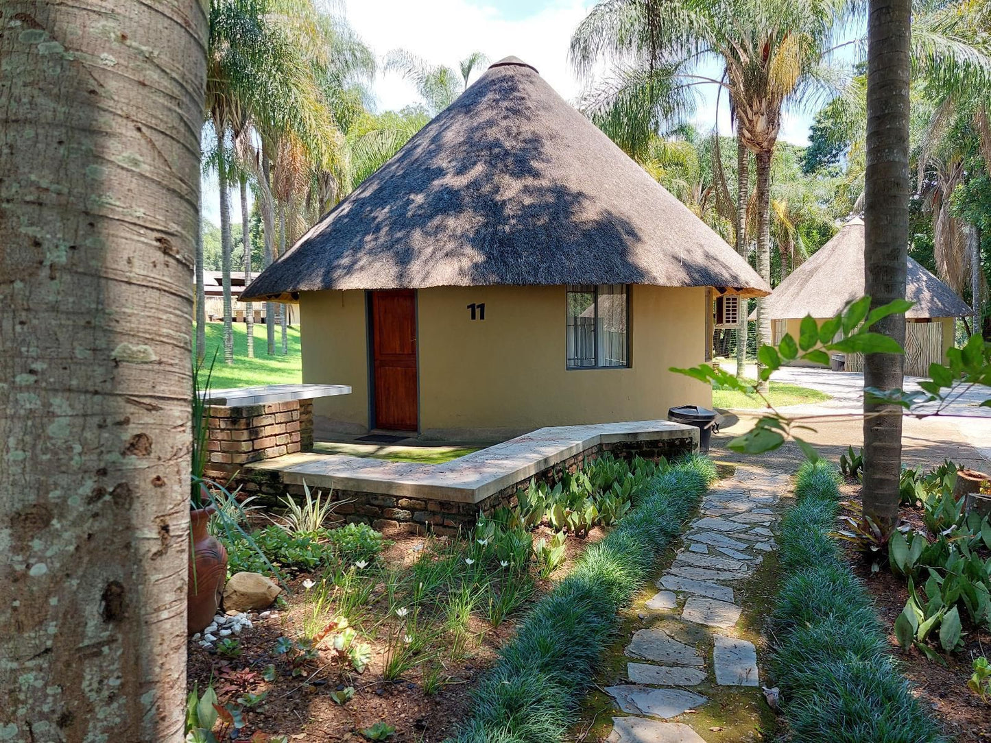 Aan De Vliet Holiday Resort Hazyview Mpumalanga South Africa Palm Tree, Plant, Nature, Wood