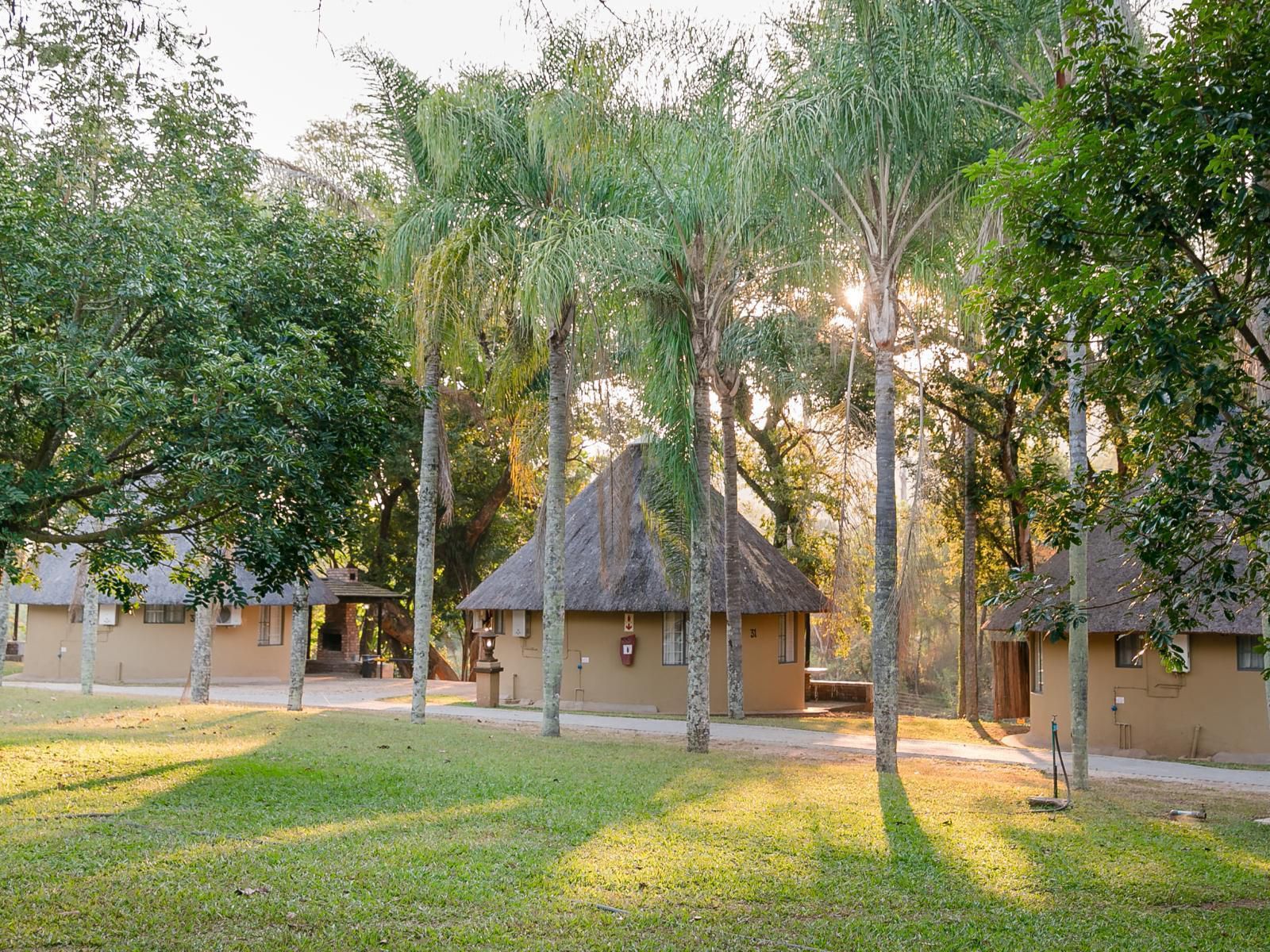 Aan De Vliet Holiday Resort Hazyview Mpumalanga South Africa House, Building, Architecture, Palm Tree, Plant, Nature, Wood