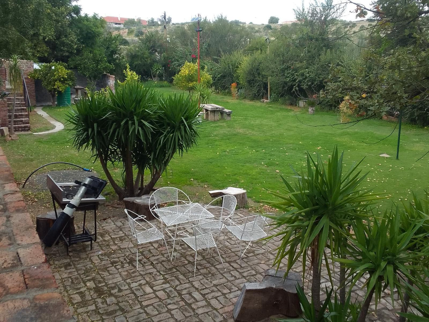 Aan Die Oewer Bandb Graaff Reinet Eastern Cape South Africa Palm Tree, Plant, Nature, Wood, Garden