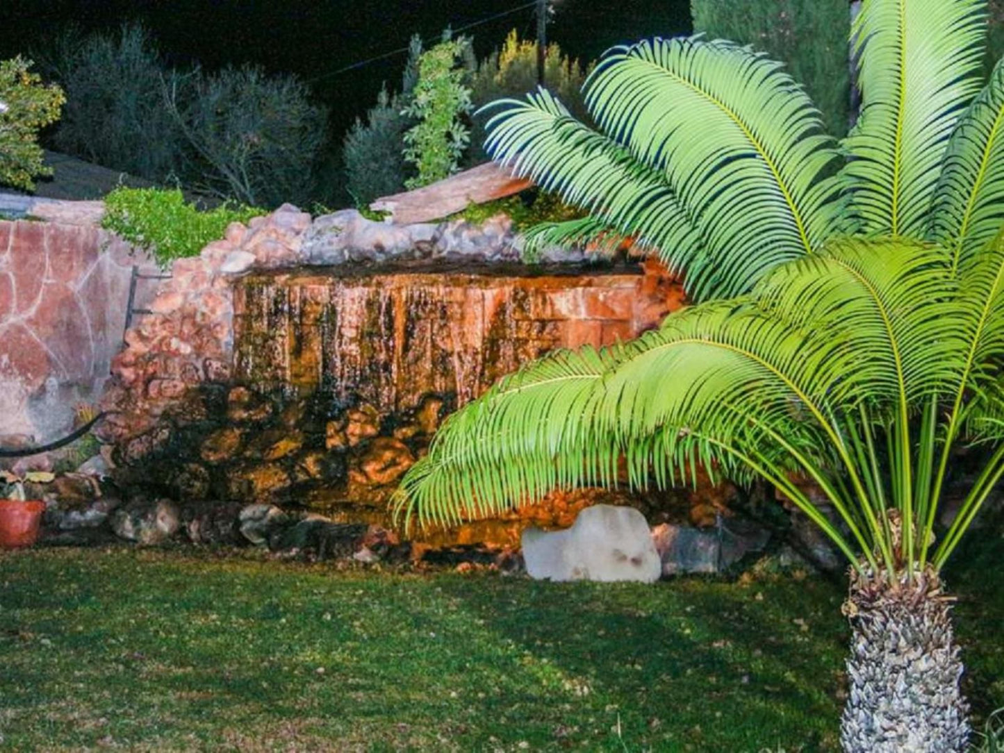 Aan Die Oewer Bandb Graaff Reinet Eastern Cape South Africa Palm Tree, Plant, Nature, Wood, Garden