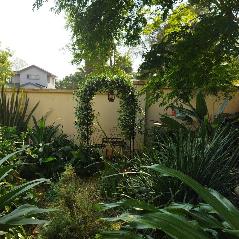 Aan Die Voet Van Die Magalies Rietfontein Pretoria Tshwane Gauteng South Africa House, Building, Architecture, Palm Tree, Plant, Nature, Wood, Garden