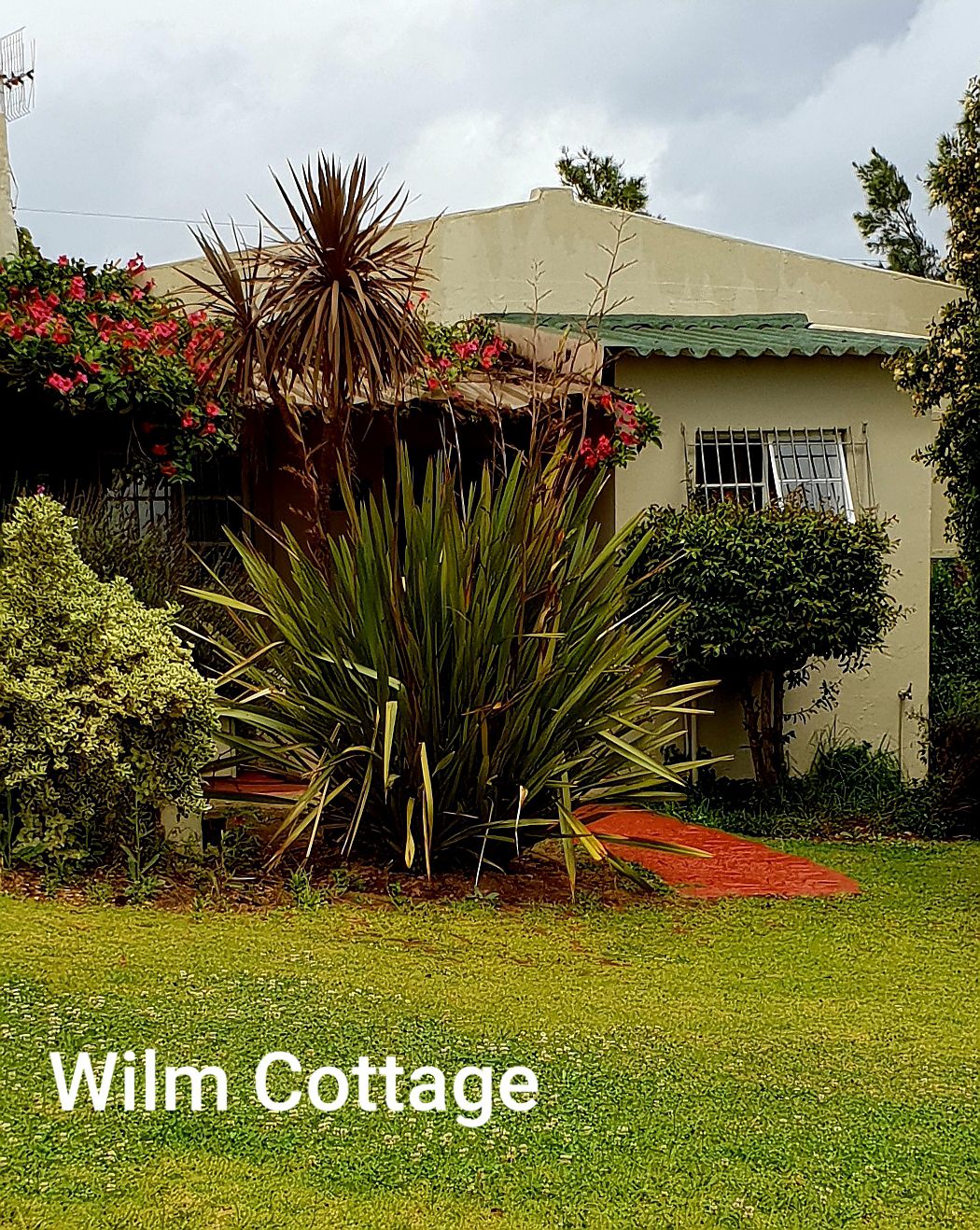 Aanhouwen Cottages Elgin Western Cape South Africa House, Building, Architecture, Plant, Nature, Garden