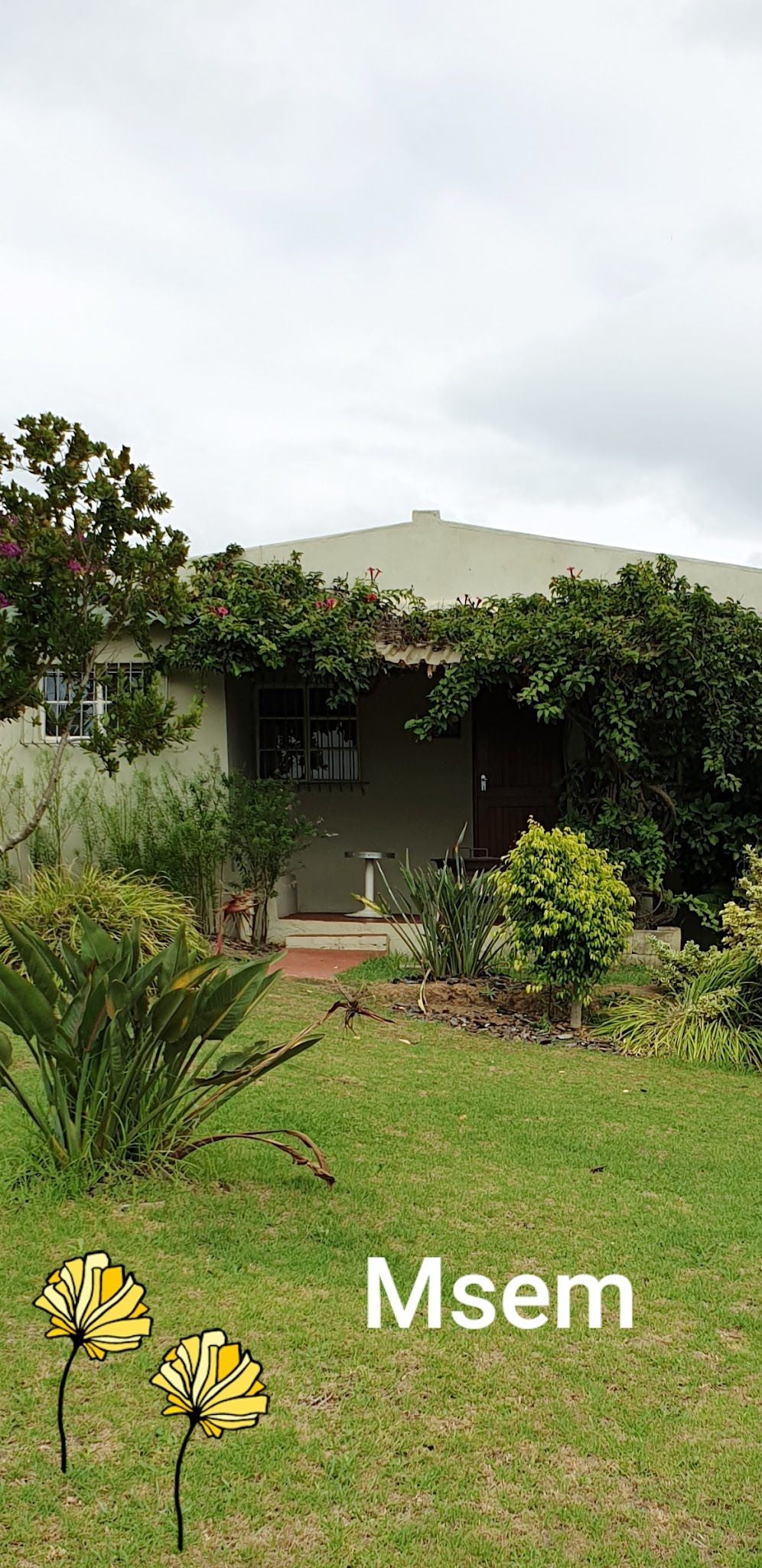 Aanhouwen Cottages Elgin Western Cape South Africa House, Building, Architecture, Palm Tree, Plant, Nature, Wood