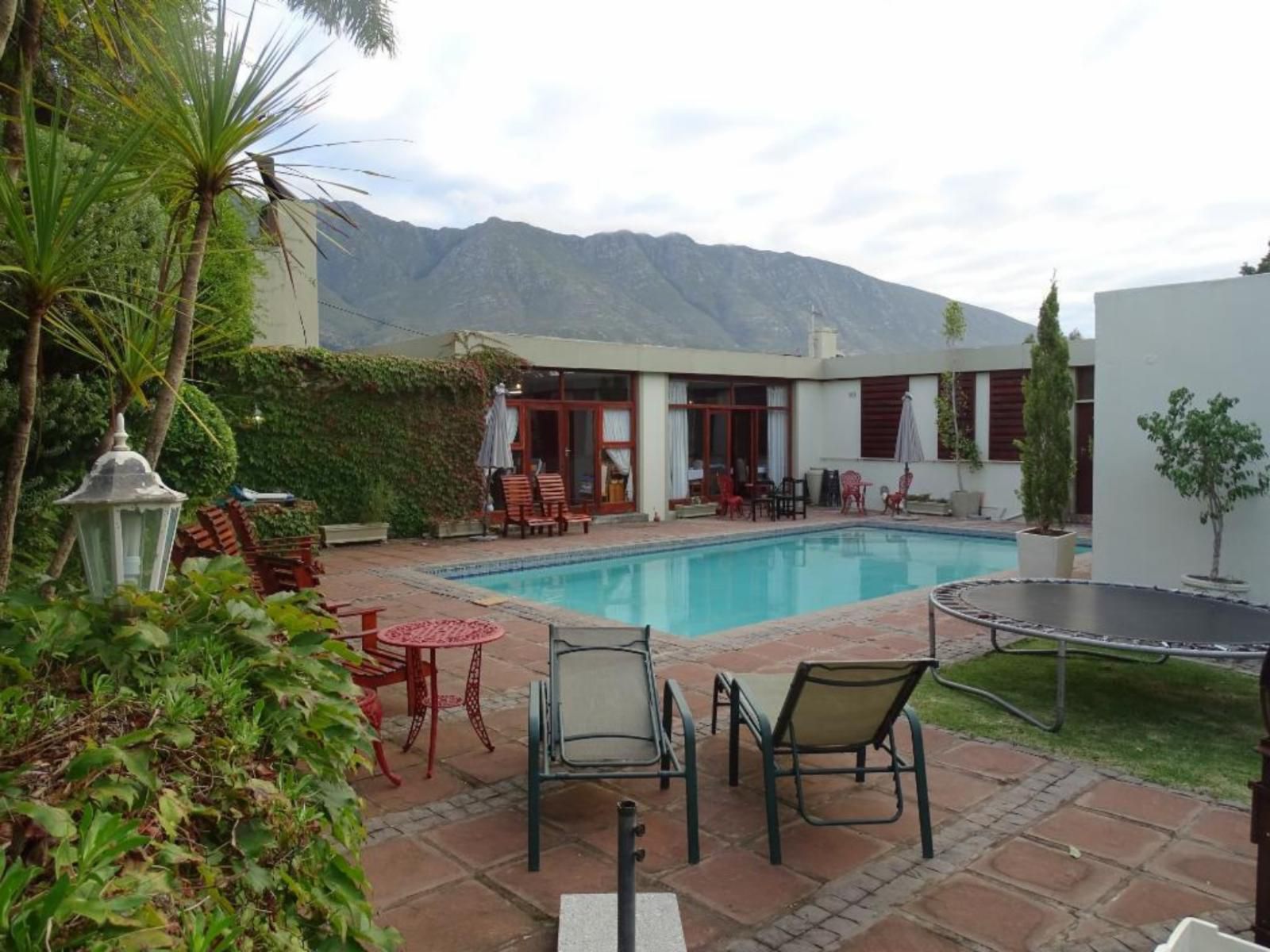 Aanhuizen Guest House Swellendam Western Cape South Africa House, Building, Architecture, Palm Tree, Plant, Nature, Wood, Swimming Pool