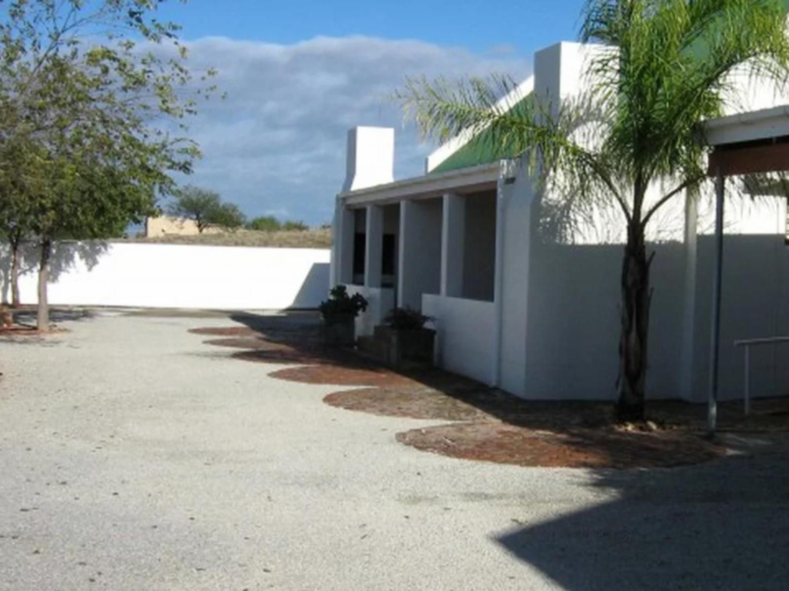 Aant Dorpseind B&B, House, Building, Architecture, Palm Tree, Plant, Nature, Wood