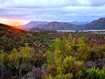 Aards Guest Farm De Rust Western Cape South Africa Complementary Colors, Nature, Sunset, Sky