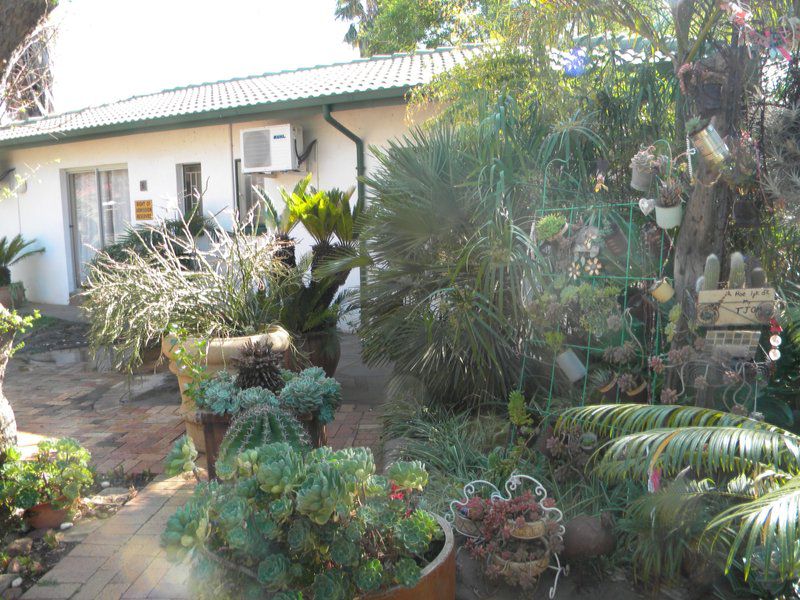 Aardvark Guest House Protea Park Rustenburg North West Province South Africa House, Building, Architecture, Palm Tree, Plant, Nature, Wood, Garden