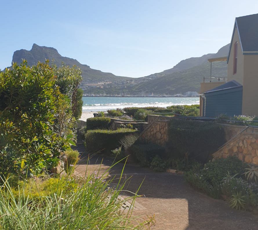 Abalone Beach Cottages Hout Bay Cape Town Western Cape South Africa Complementary Colors, Nature