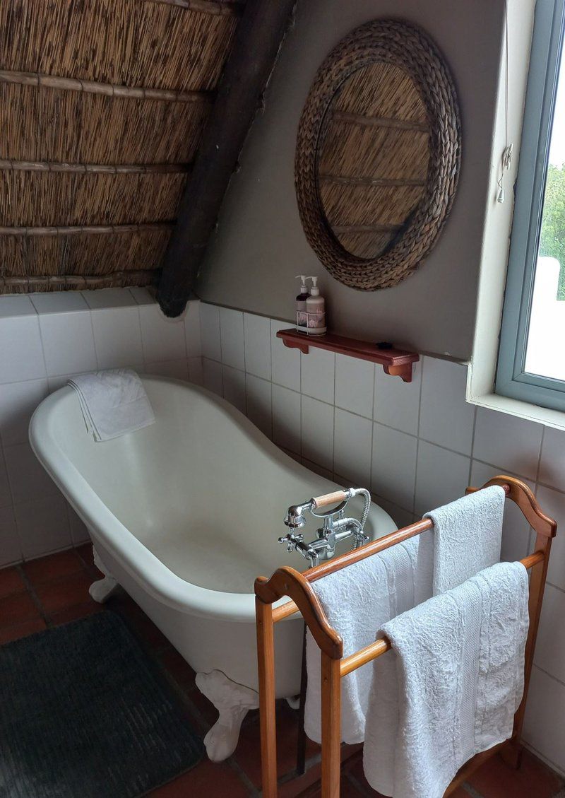 Abalone Guest House Jacobs Bay Western Cape South Africa Bathroom