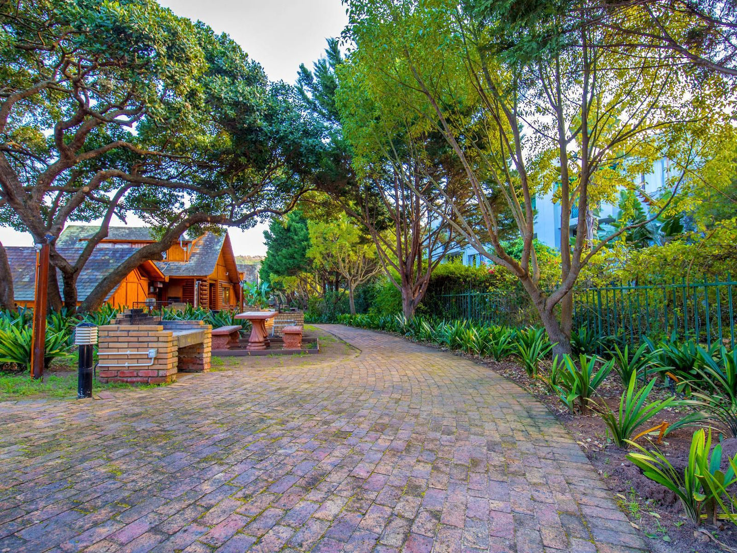 Abalone Lodges Old Place Knysna Western Cape South Africa Garden, Nature, Plant