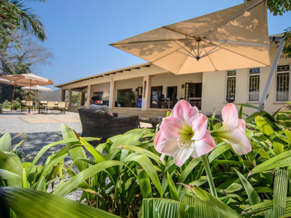 Abangane Guest Lodge Hazyview Mpumalanga South Africa Complementary Colors, Palm Tree, Plant, Nature, Wood