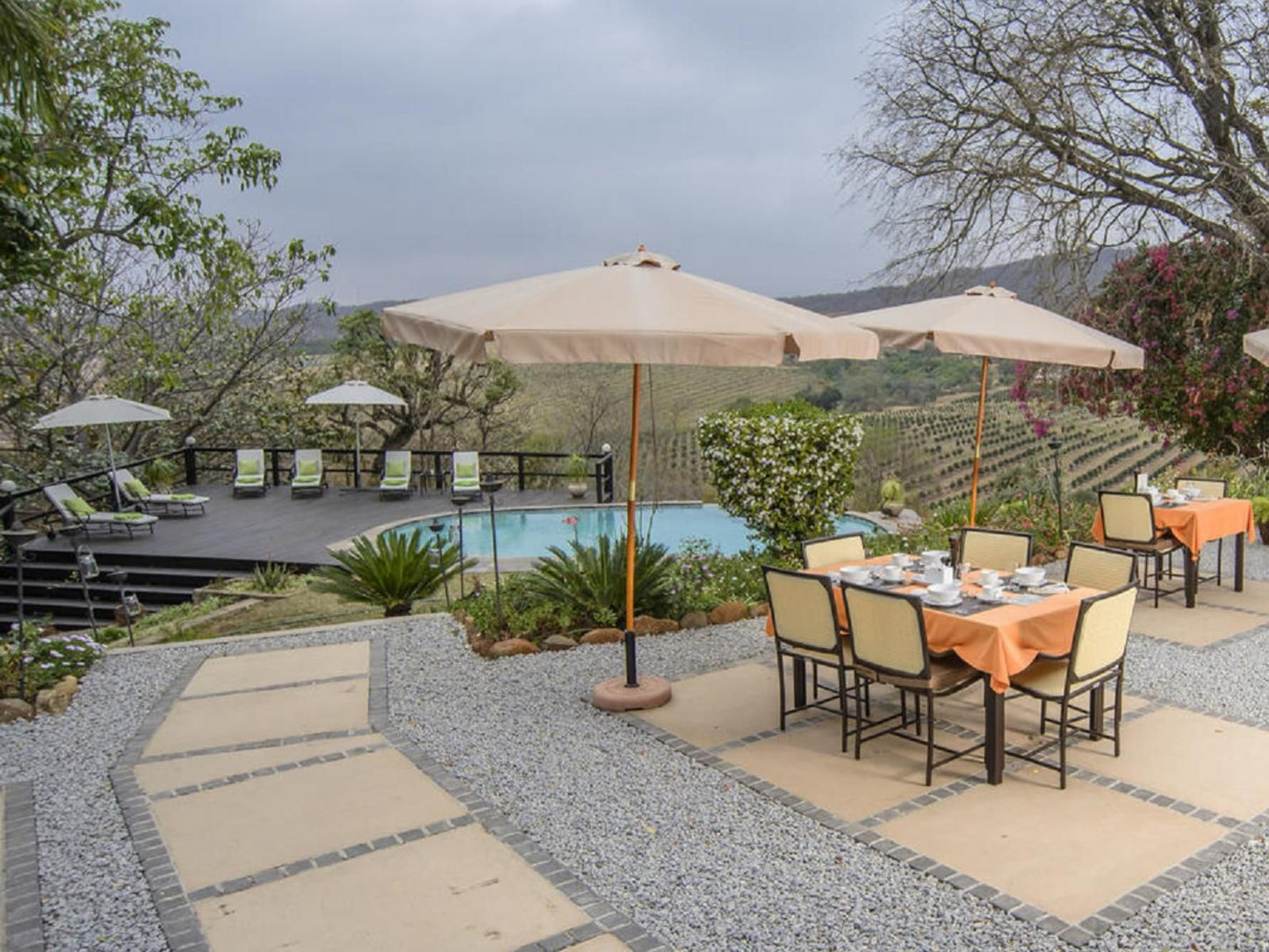Abangane Guest Lodge Hazyview Mpumalanga South Africa Garden, Nature, Plant, Swimming Pool