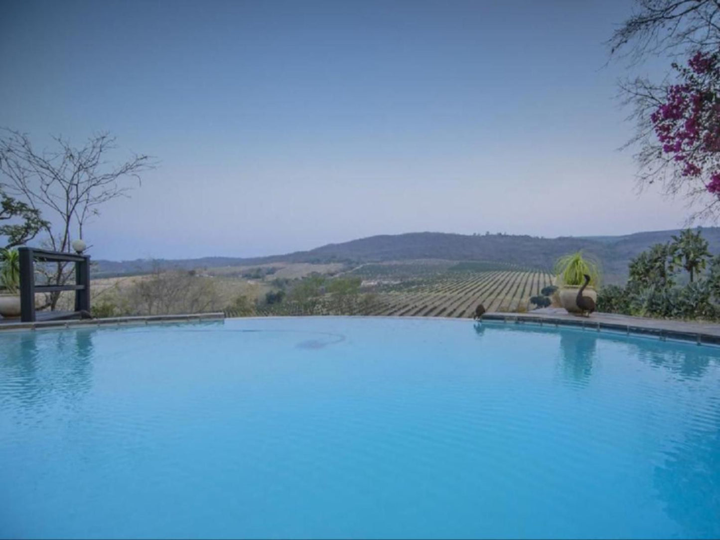 Abangane Guest Lodge Hazyview Mpumalanga South Africa Swimming Pool