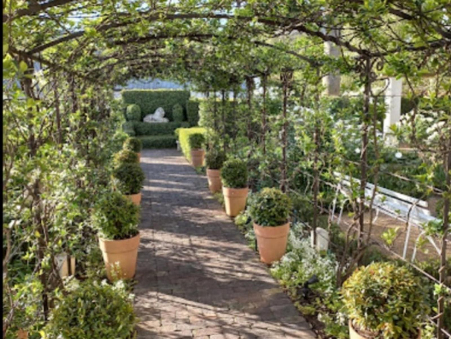 Abbey Guesthouse, Plant, Nature, Garden